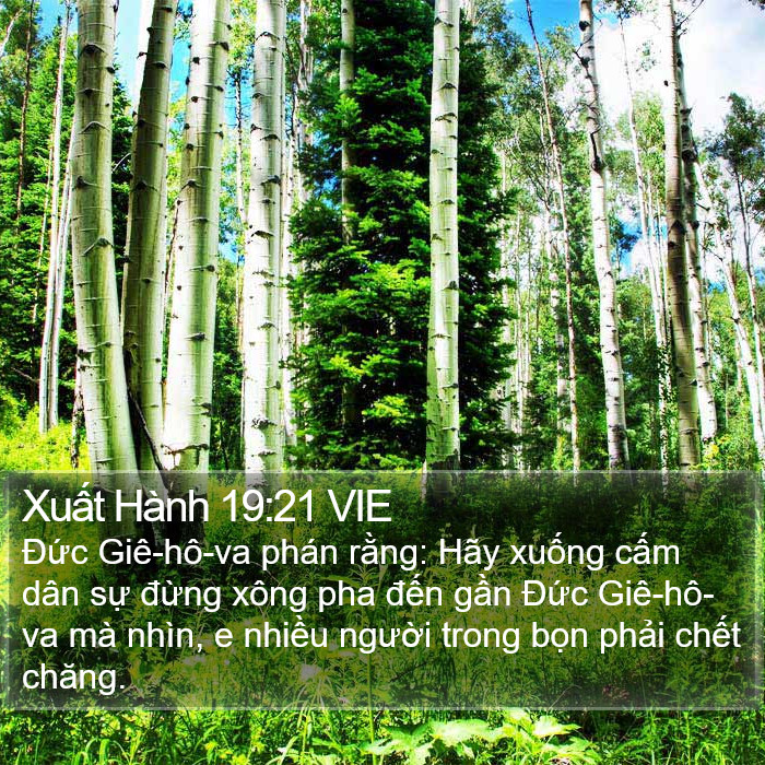 Xuất Hành 19:21 VIE Bible Study