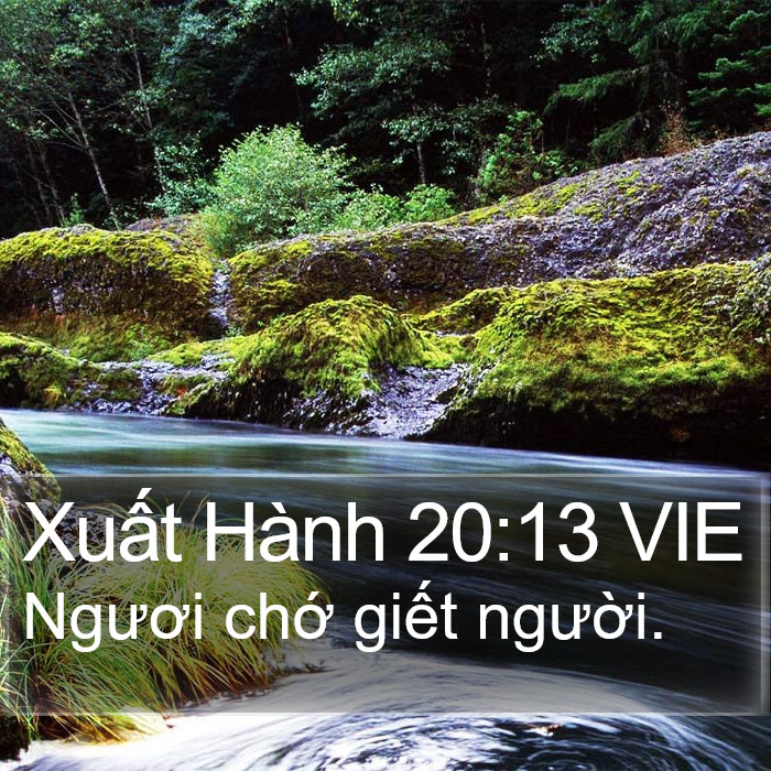 Xuất Hành 20:13 VIE Bible Study