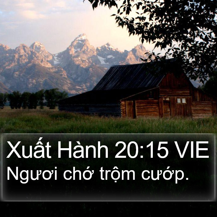 Xuất Hành 20:15 VIE Bible Study