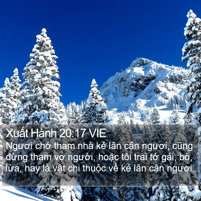Xuất Hành 20:17 VIE Bible Study