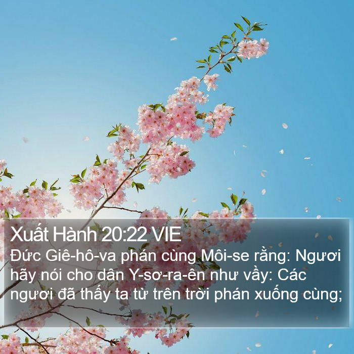 Xuất Hành 20:22 VIE Bible Study