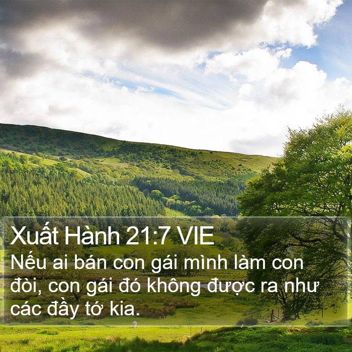 Xuất Hành 21:7 VIE Bible Study