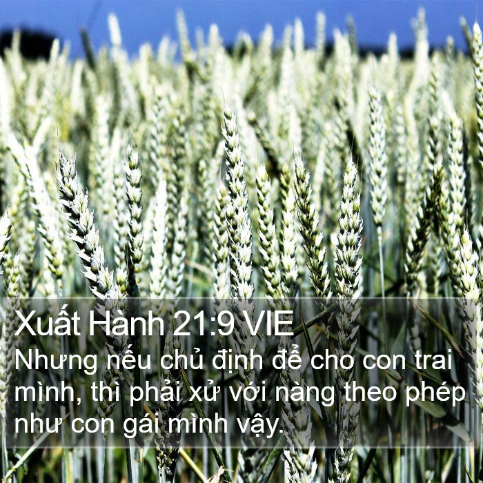 Xuất Hành 21:9 VIE Bible Study