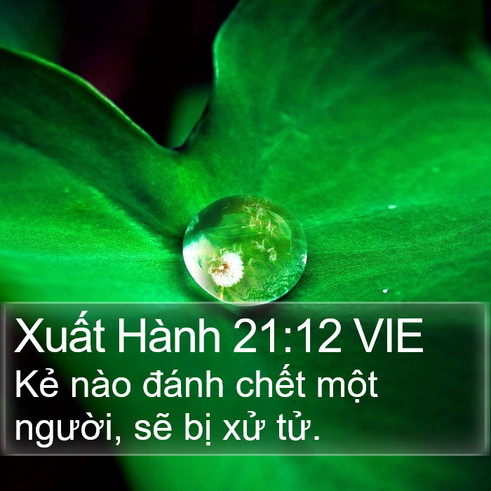 Xuất Hành 21:12 VIE Bible Study