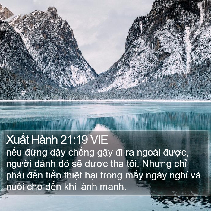 Xuất Hành 21:19 VIE Bible Study