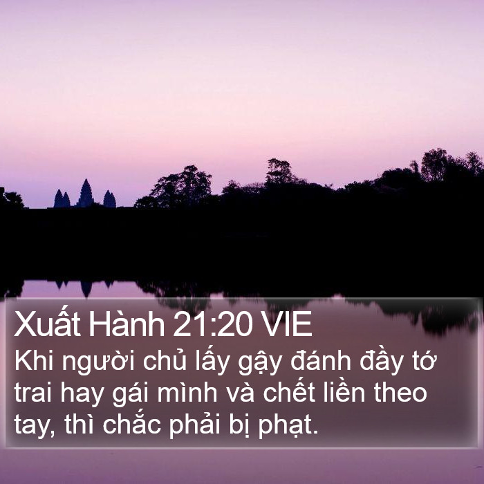 Xuất Hành 21:20 VIE Bible Study