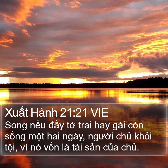 Xuất Hành 21:21 VIE Bible Study