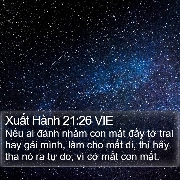 Xuất Hành 21:26 VIE Bible Study