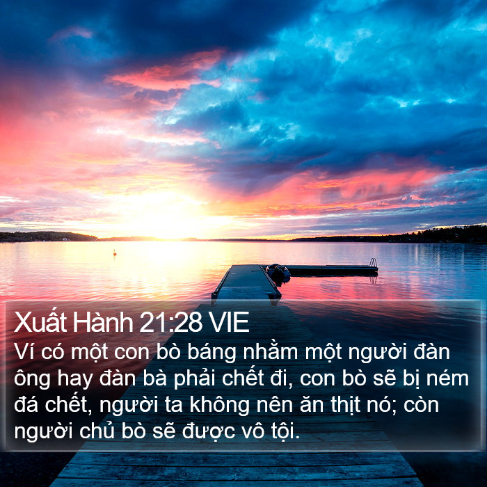 Xuất Hành 21:28 VIE Bible Study