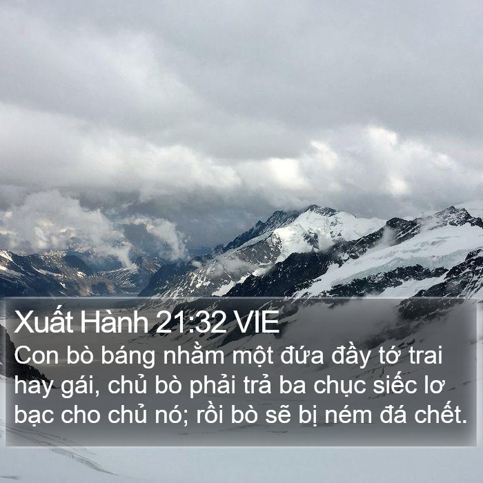 Xuất Hành 21:32 VIE Bible Study