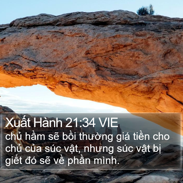 Xuất Hành 21:34 VIE Bible Study