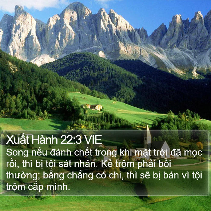 Xuất Hành 22:3 VIE Bible Study