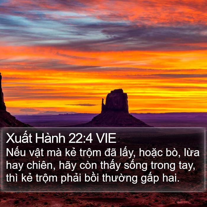 Xuất Hành 22:4 VIE Bible Study