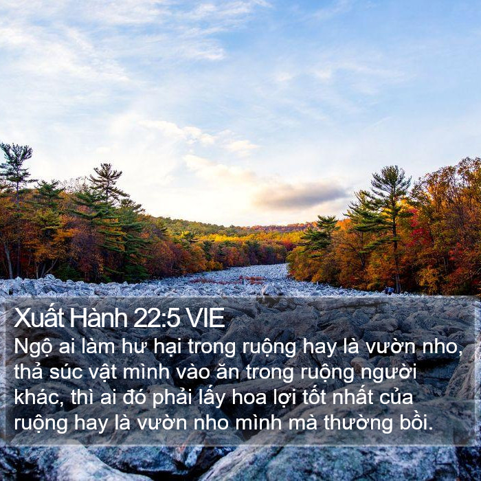 Xuất Hành 22:5 VIE Bible Study