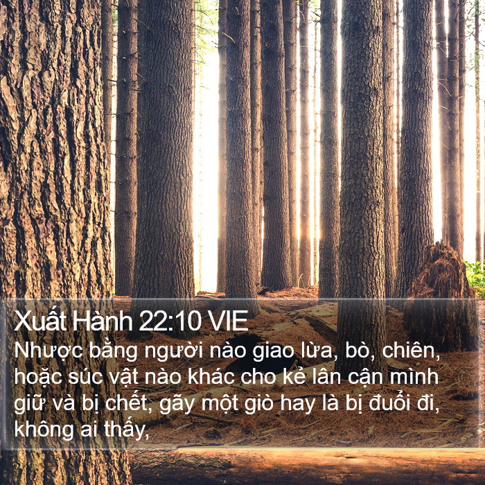 Xuất Hành 22:10 VIE Bible Study