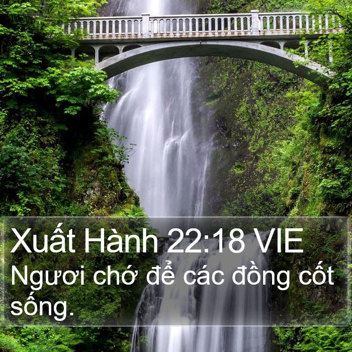 Xuất Hành 22:18 VIE Bible Study