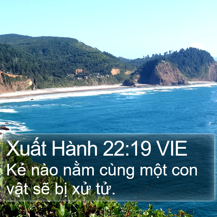 Xuất Hành 22:19 VIE Bible Study