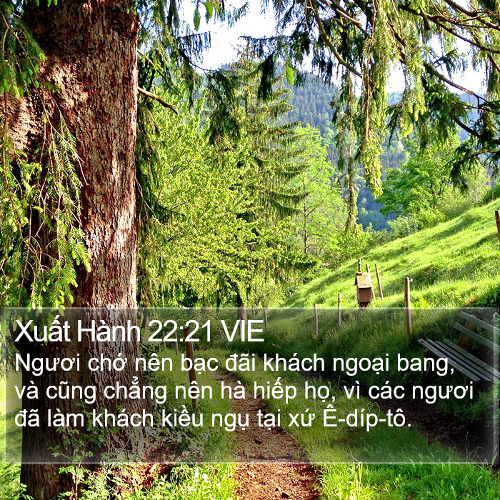 Xuất Hành 22:21 VIE Bible Study