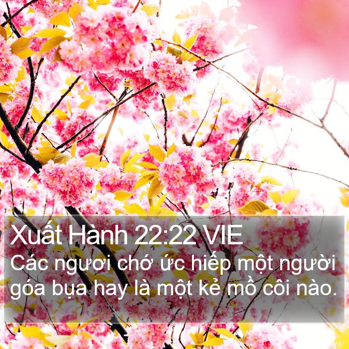 Xuất Hành 22:22 VIE Bible Study