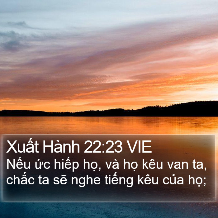 Xuất Hành 22:23 VIE Bible Study