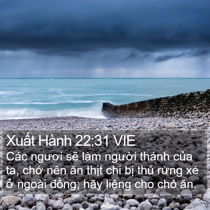 Xuất Hành 22:31 VIE Bible Study