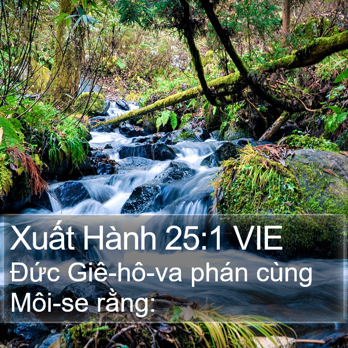 Xuất Hành 25:1 VIE Bible Study