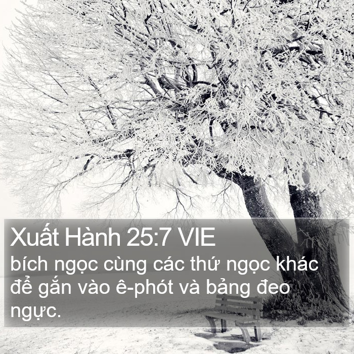 Xuất Hành 25:7 VIE Bible Study