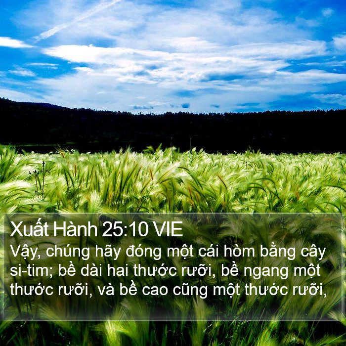 Xuất Hành 25:10 VIE Bible Study