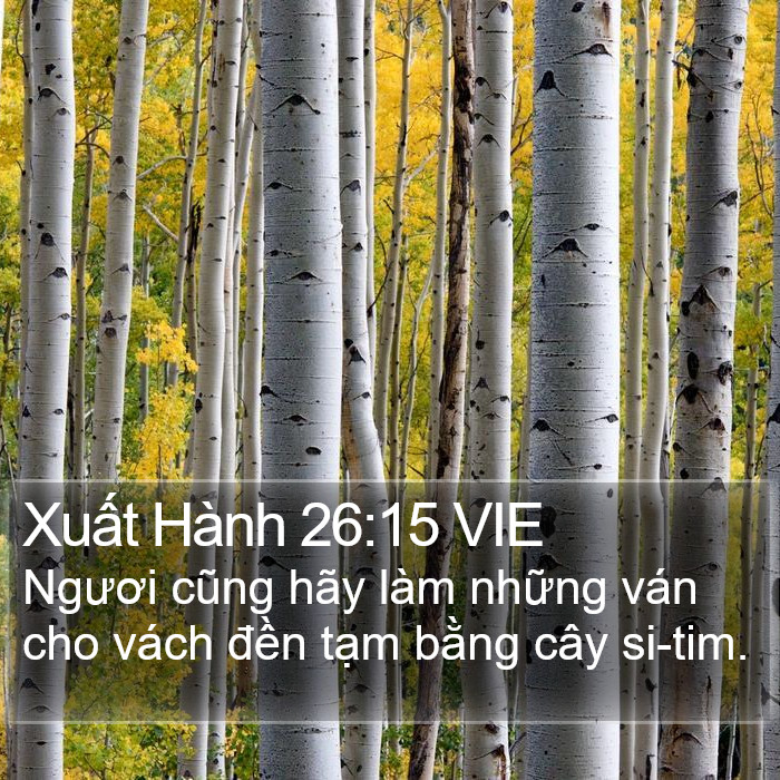 Xuất Hành 26:15 VIE Bible Study