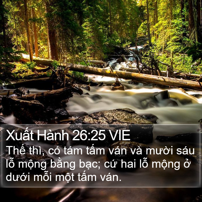 Xuất Hành 26:25 VIE Bible Study