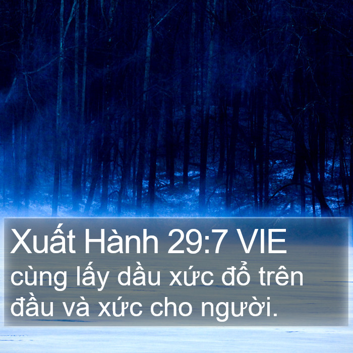 Xuất Hành 29:7 VIE Bible Study