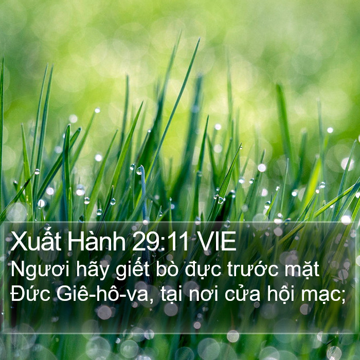 Xuất Hành 29:11 VIE Bible Study
