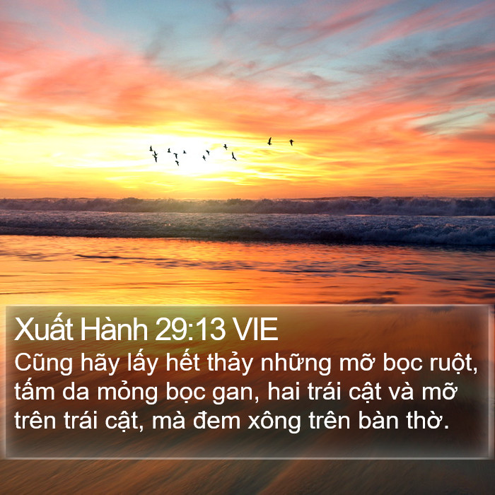 Xuất Hành 29:13 VIE Bible Study