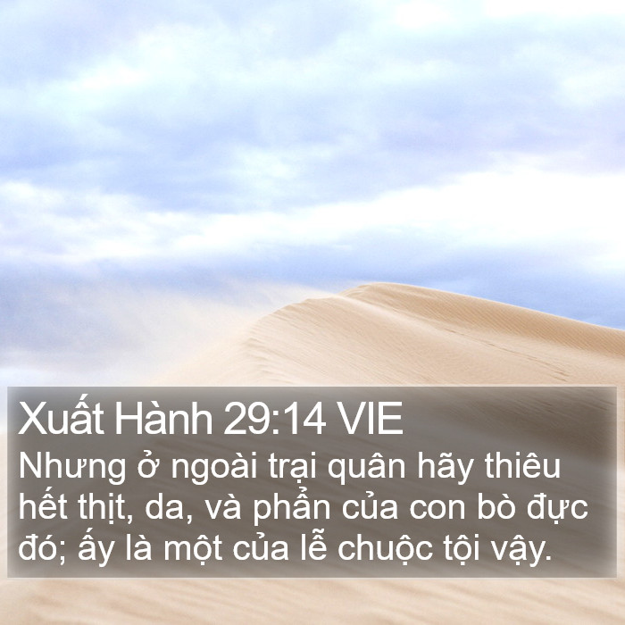Xuất Hành 29:14 VIE Bible Study
