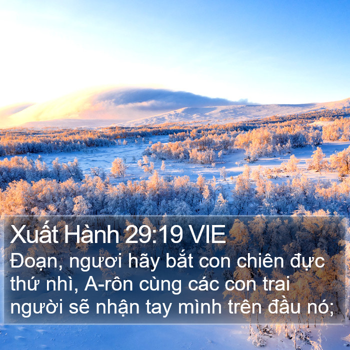 Xuất Hành 29:19 VIE Bible Study
