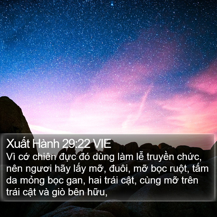 Xuất Hành 29:22 VIE Bible Study