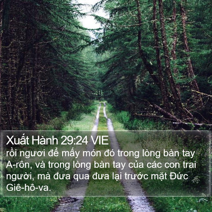 Xuất Hành 29:24 VIE Bible Study