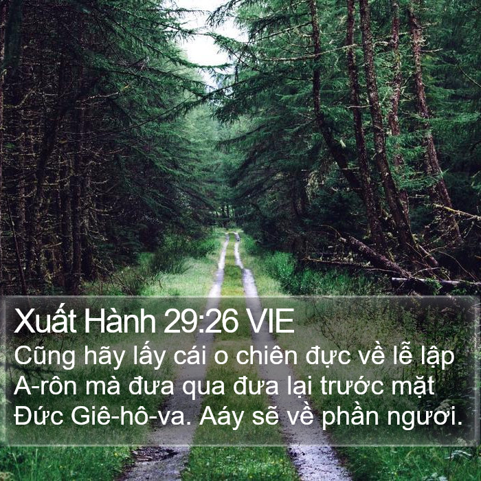 Xuất Hành 29:26 VIE Bible Study