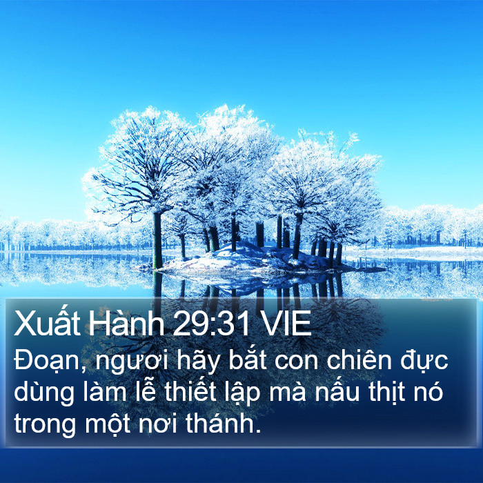 Xuất Hành 29:31 VIE Bible Study