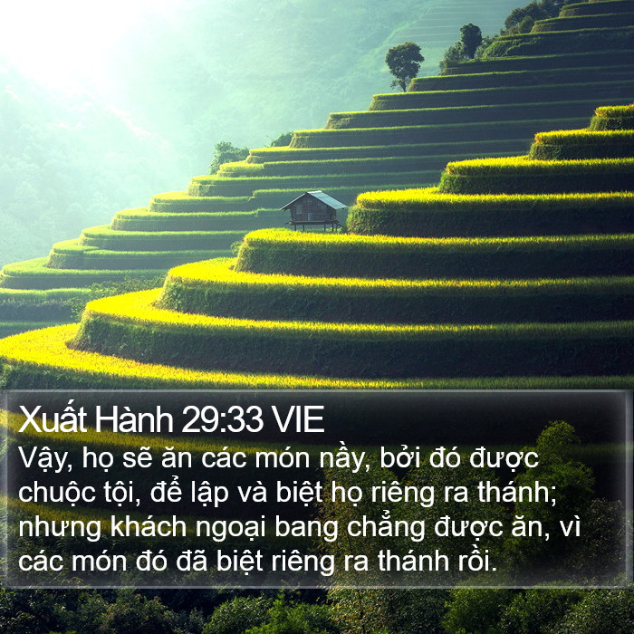 Xuất Hành 29:33 VIE Bible Study
