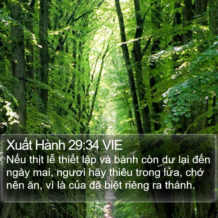 Xuất Hành 29:34 VIE Bible Study