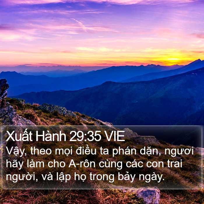 Xuất Hành 29:35 VIE Bible Study