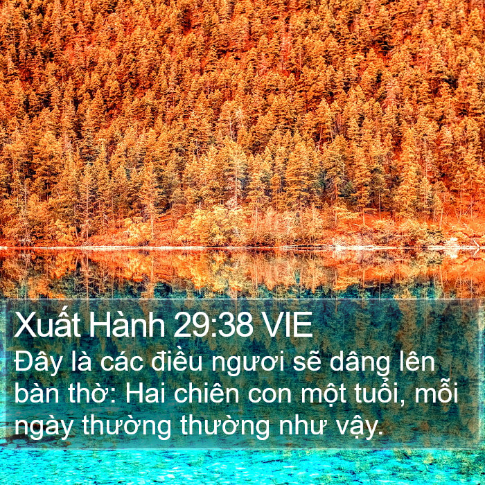 Xuất Hành 29:38 VIE Bible Study