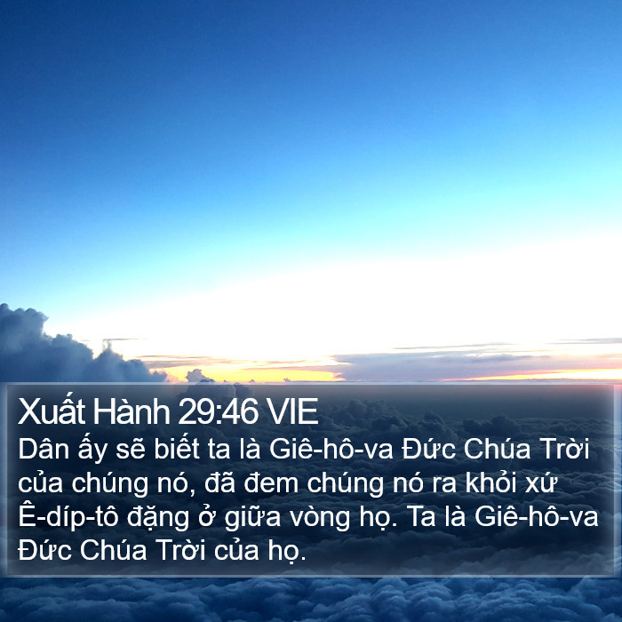 Xuất Hành 29:46 VIE Bible Study