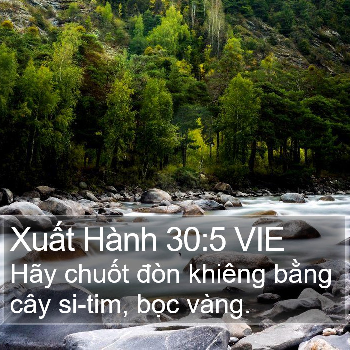 Xuất Hành 30:5 VIE Bible Study