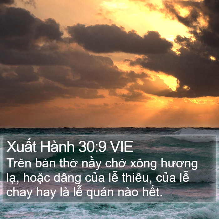 Xuất Hành 30:9 VIE Bible Study