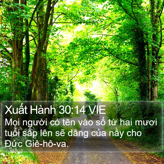 Xuất Hành 30:14 VIE Bible Study