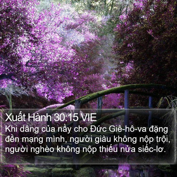 Xuất Hành 30:15 VIE Bible Study