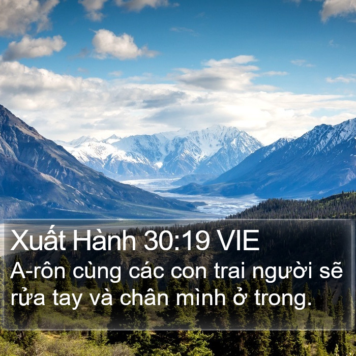 Xuất Hành 30:19 VIE Bible Study