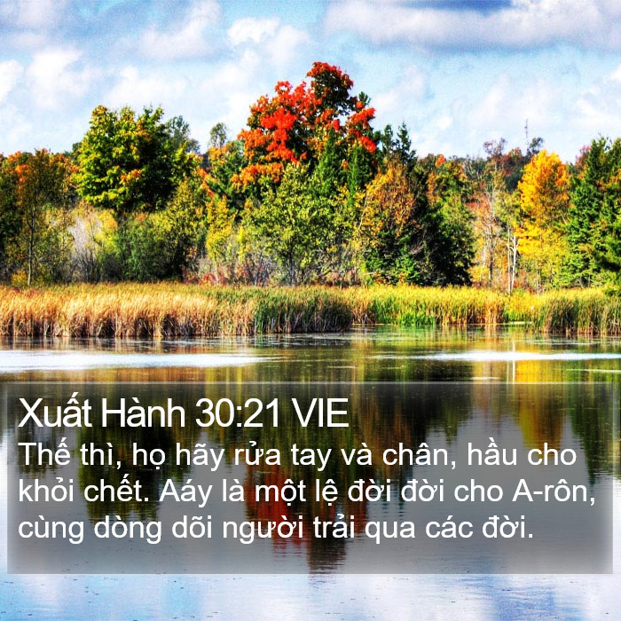 Xuất Hành 30:21 VIE Bible Study